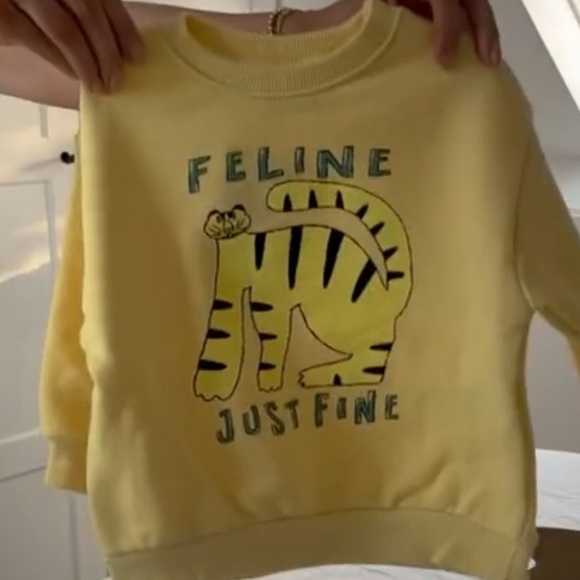 Zara Feline Fine Cat Sweatshirt - Picture 2 of 4